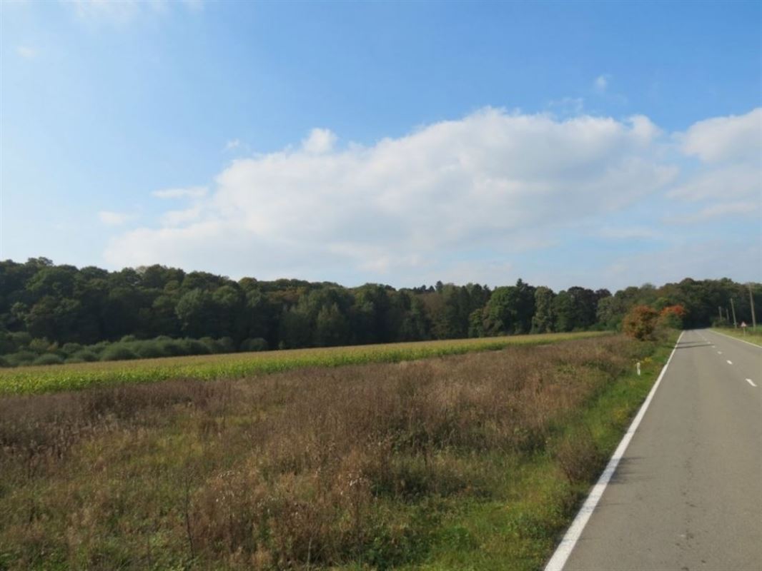Villagrond Ardennen te koop te HOTTON (6990)