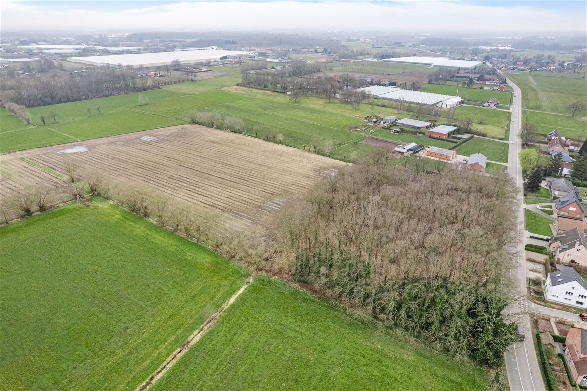Perceel met bomen te Sint-Katelijne-Waver