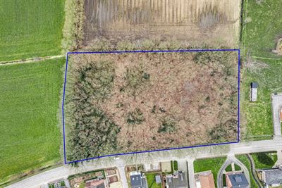 Perceel met bomen te Sint-Katelijne-Waver