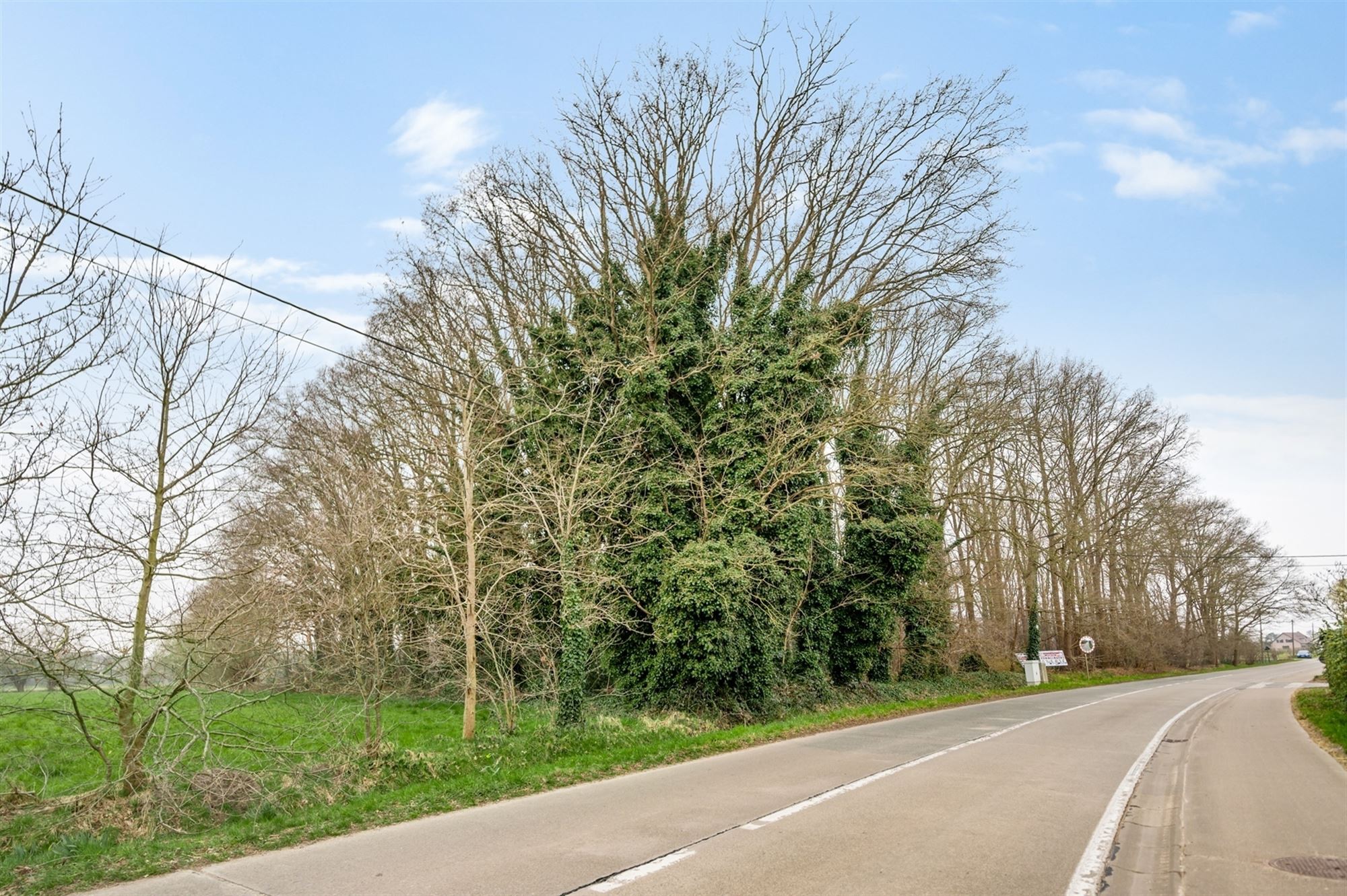 Perceel met bomen te Sint-Katelijne-Waver