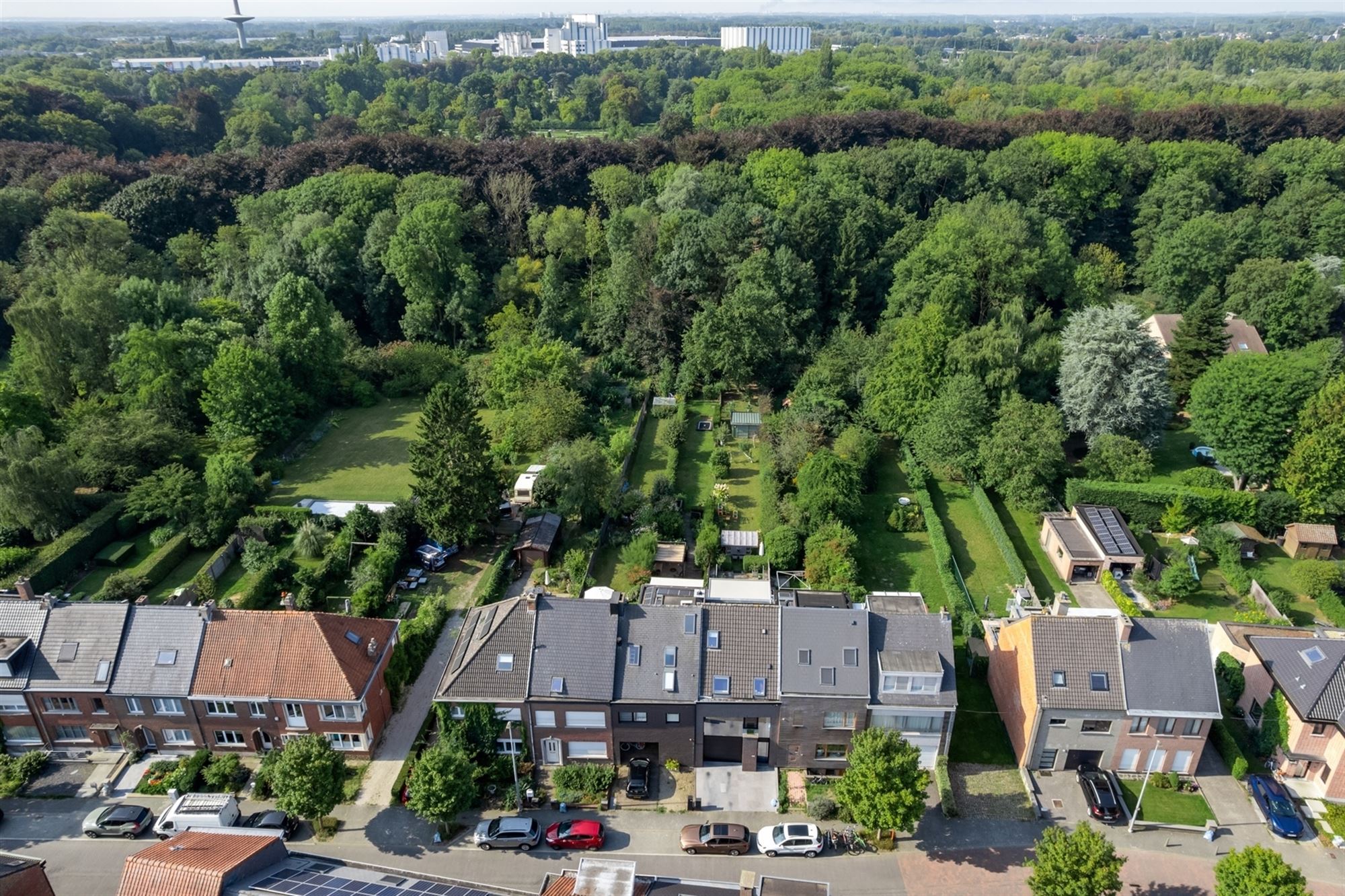 Moderne conceptwoning, grenzend aan het Vrijbroekpark.