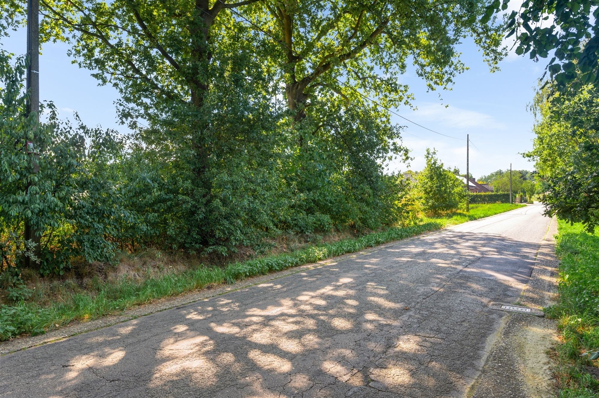 Perceel landbouwgrond te Beerzel - opp. 2547 m²