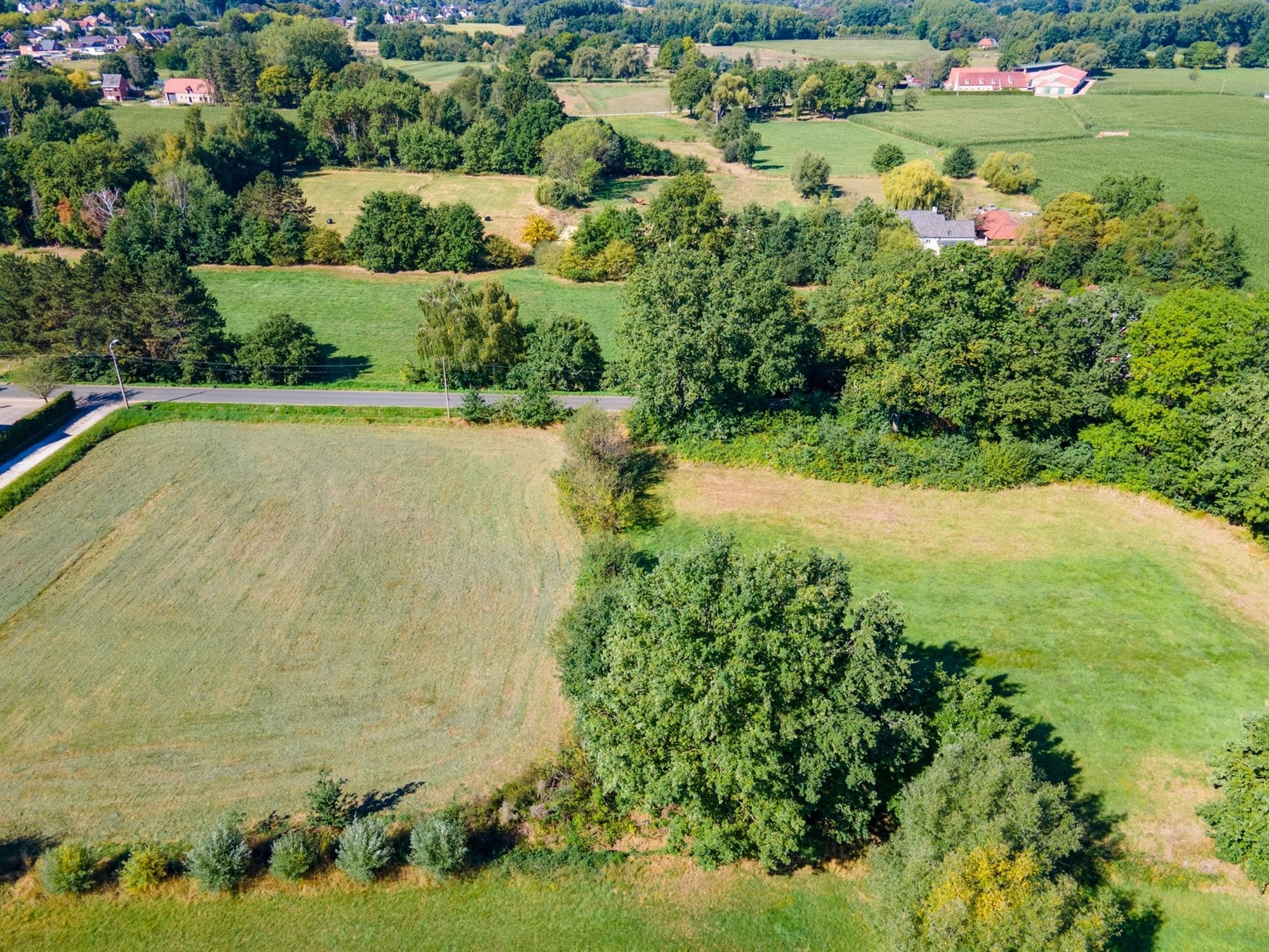Perceel landbouwgrond te Beerzel - opp. 2547 m²