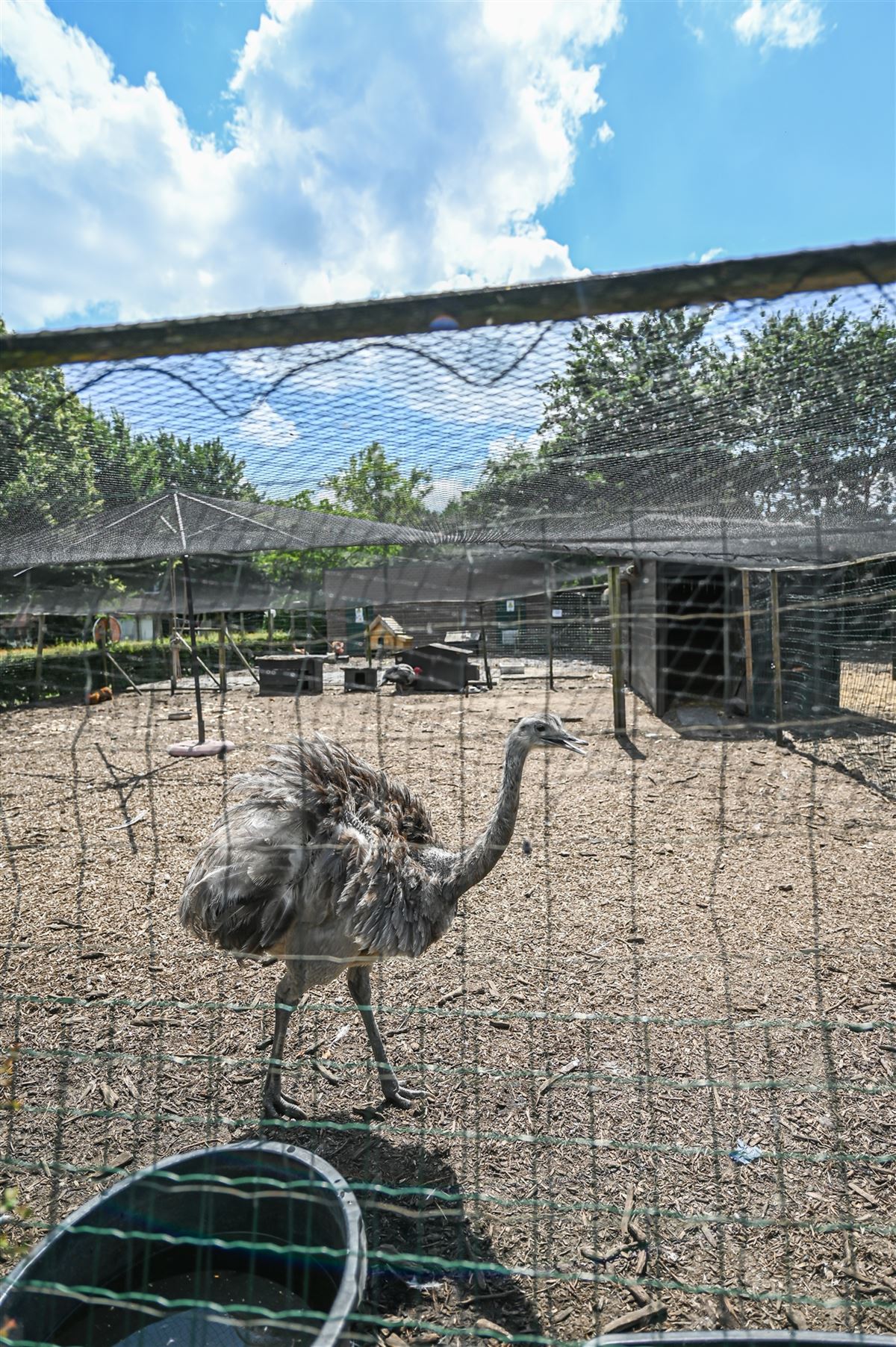 DSC_6920.jpg