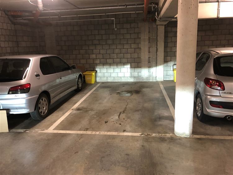 Staanplaats in Rijkevorsel