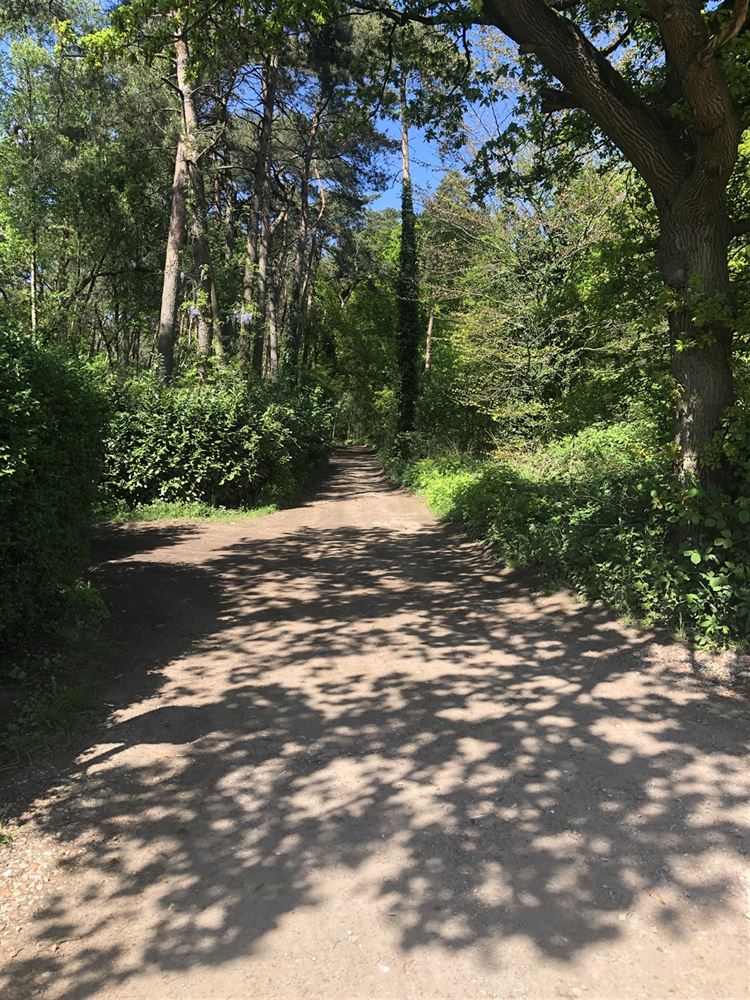 recreatief terrein in Vorselaar