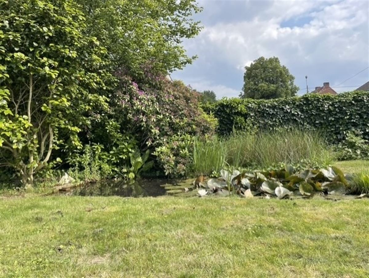 tuin 3.jpg