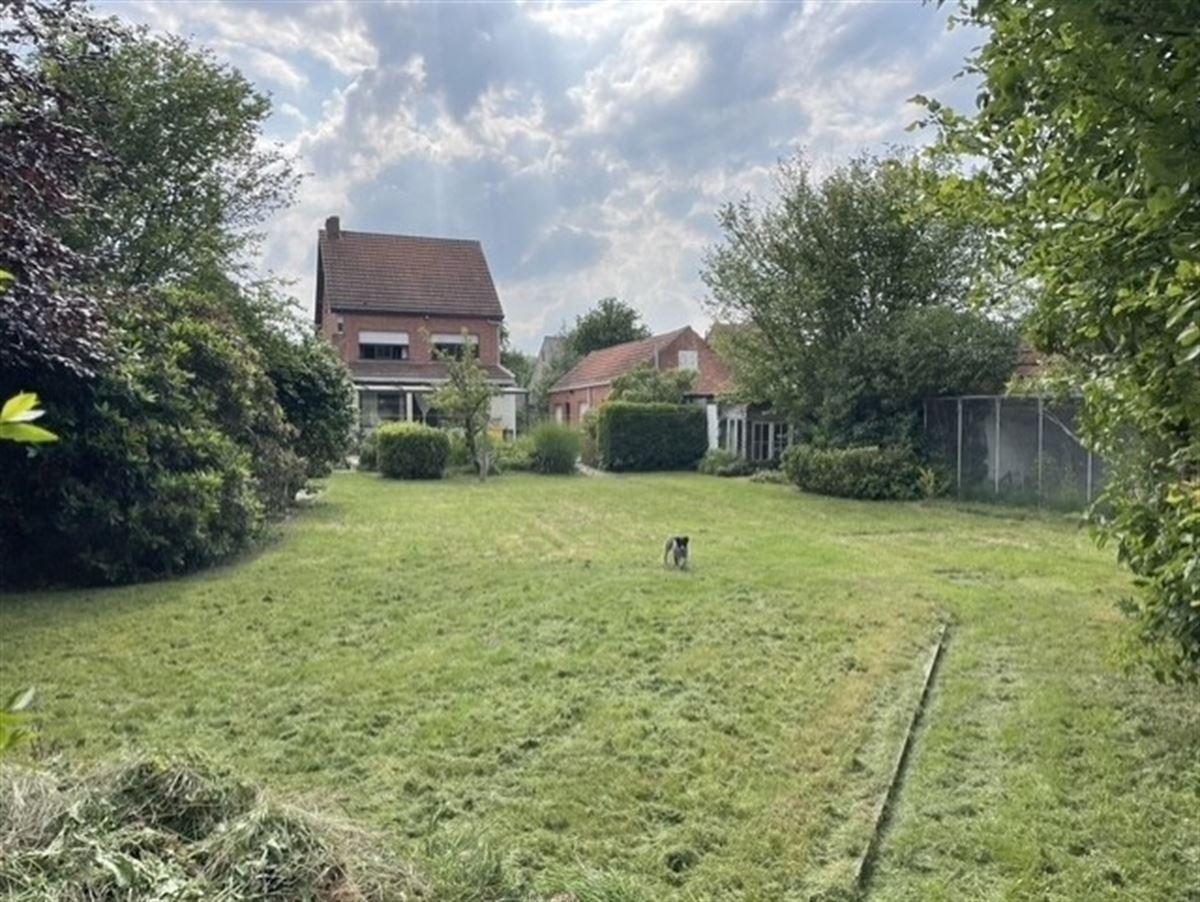 propere tuin