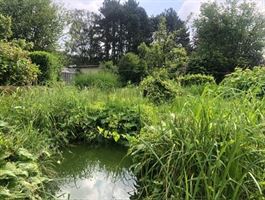 tuin 1.jpg