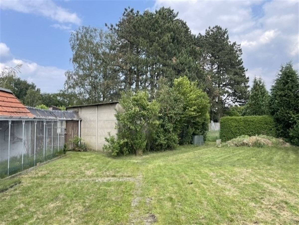 tuin 5.jpg