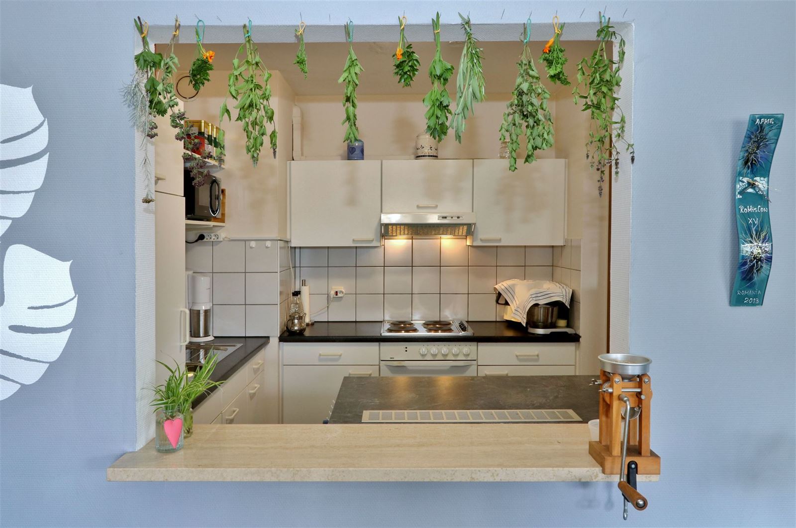 FOTO’S 9 : Appartement te 1500 HALLE (België) - Prijs € 930