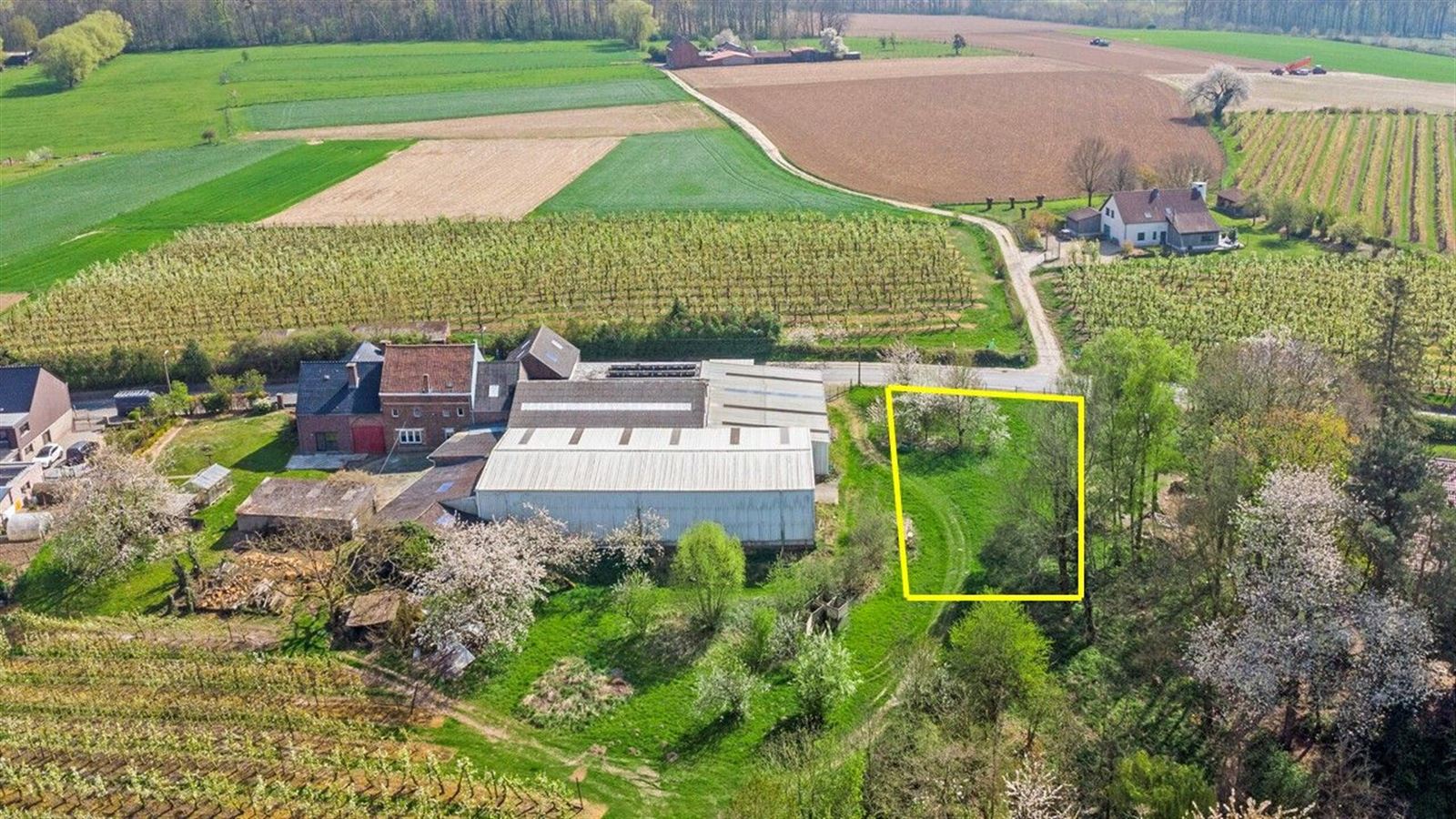 FOTO’S 1 : Bouwgrond te 1674 BELLINGEN (België) - Prijs € 199.000
