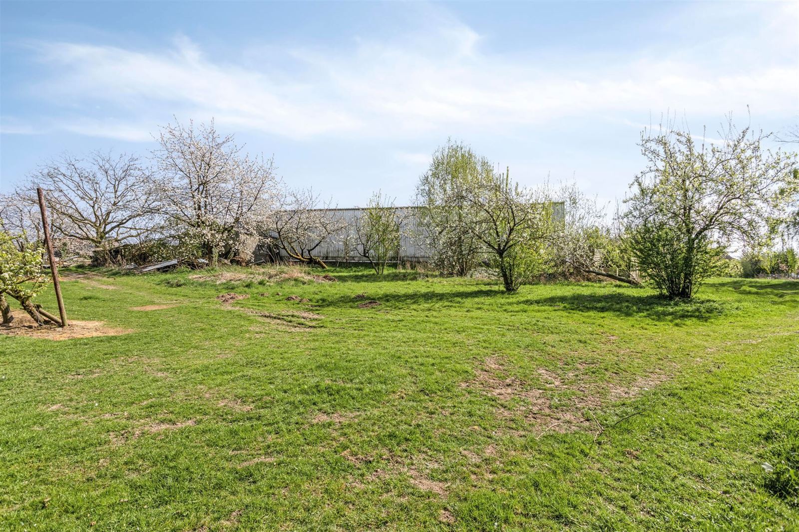 FOTO’S 2 : Bouwgrond te 1674 BELLINGEN (België) - Prijs € 199.000