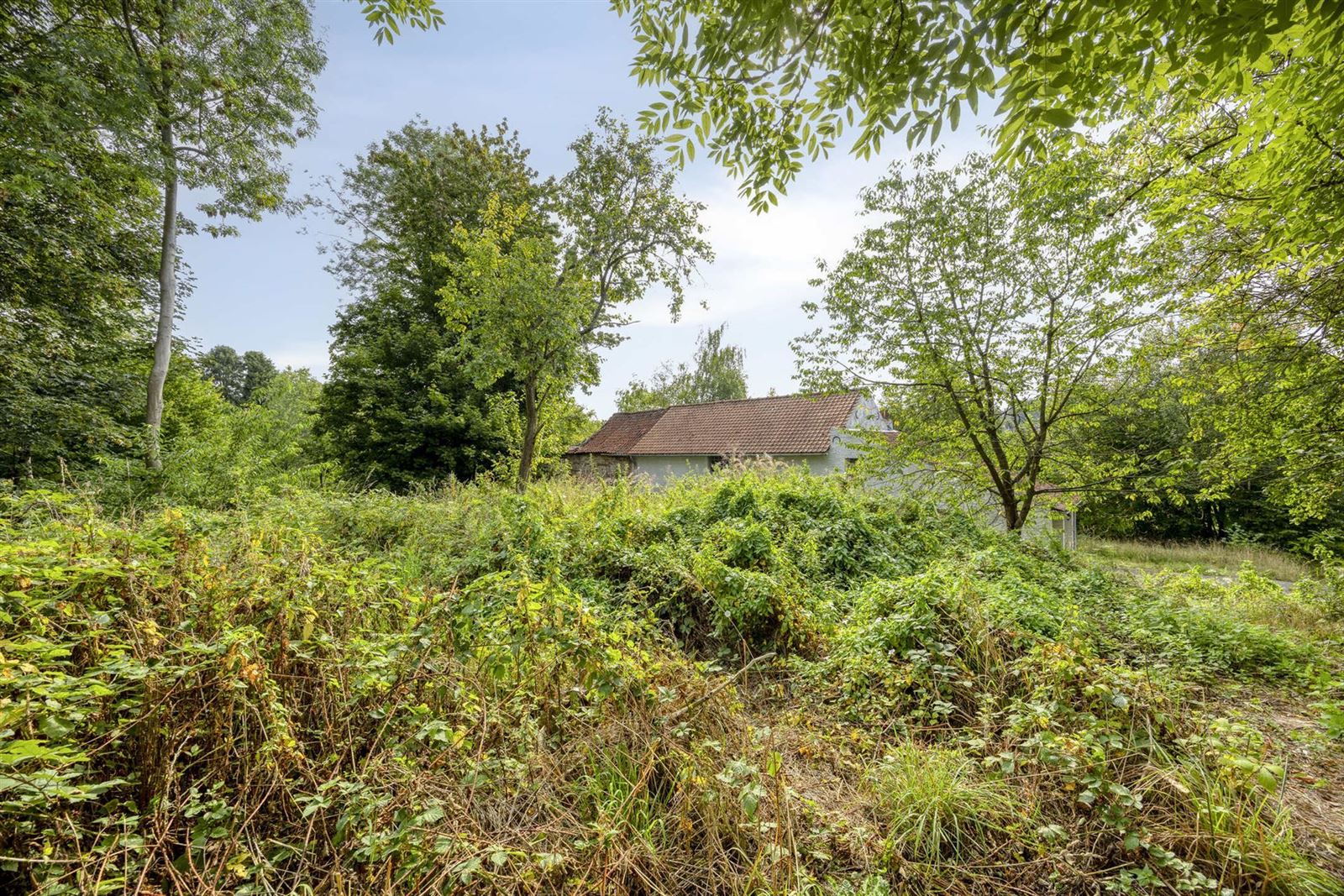 FOTO’S 27 : Woning te 1650 BEERSEL (België) - Prijs € 365.000