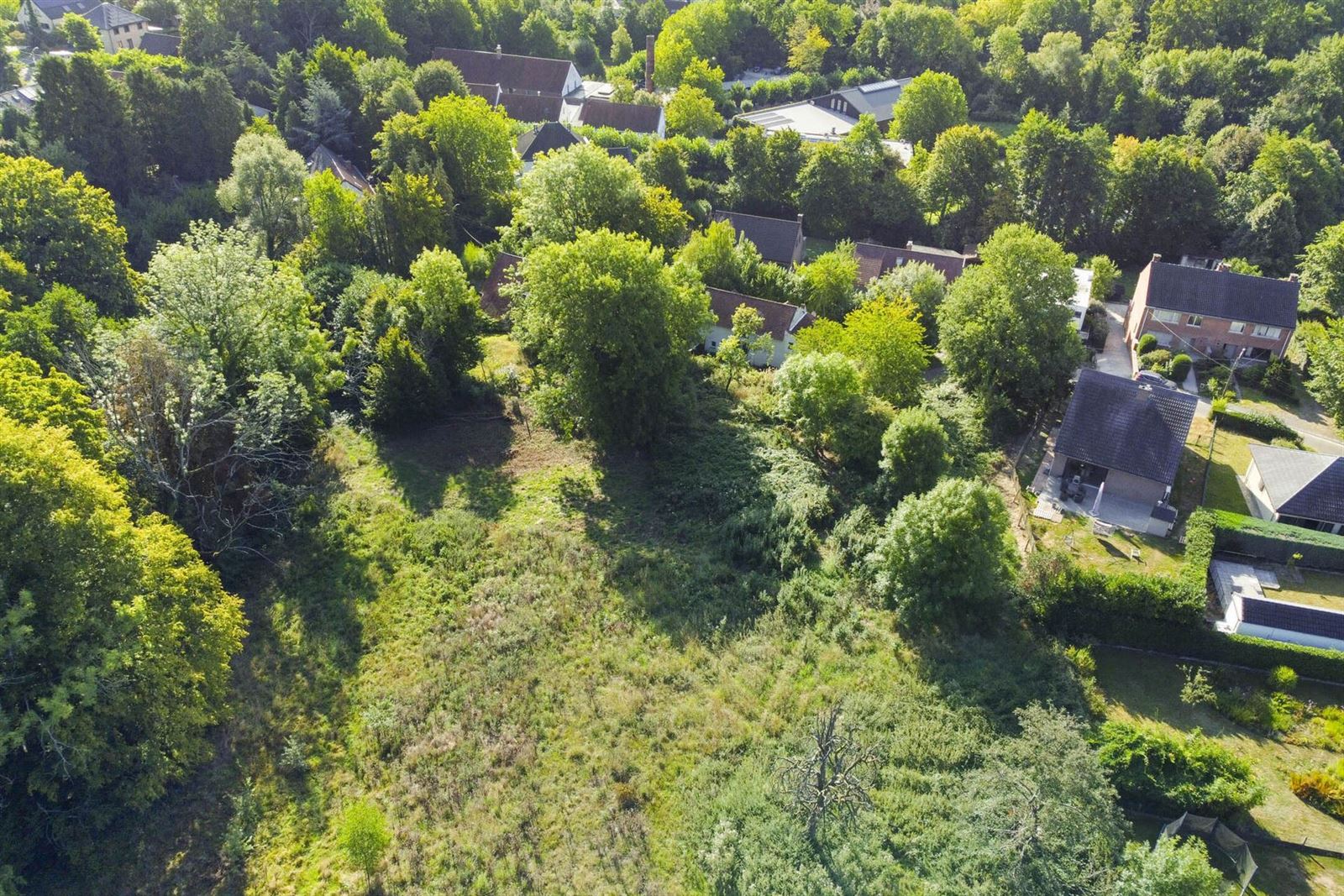 PHOTOS 5 : Terrain à 1650 BEERSEL (Belgique) - Prix 290.000 €