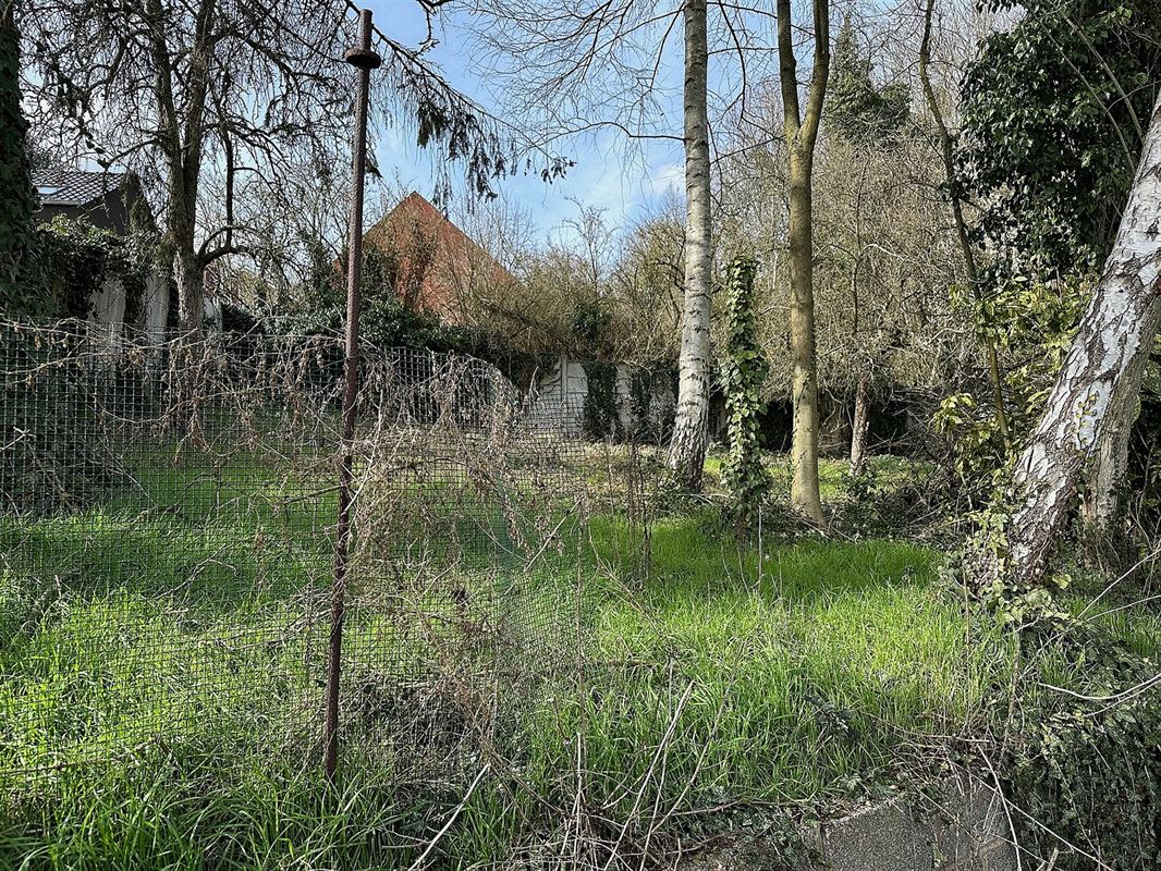 Image 3 : Terrain à 7340 WASMES (Belgique) - Prix 15.000 €