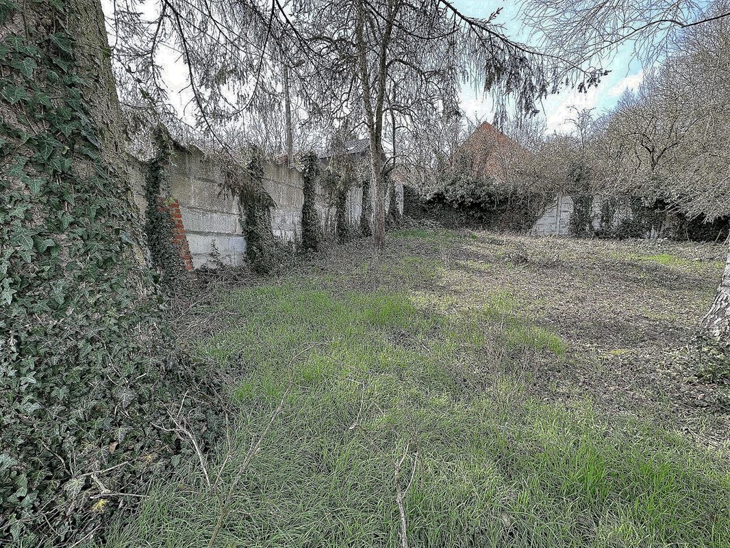Image 2 : Terrain à 7340 WASMES (Belgique) - Prix 15.000 €
