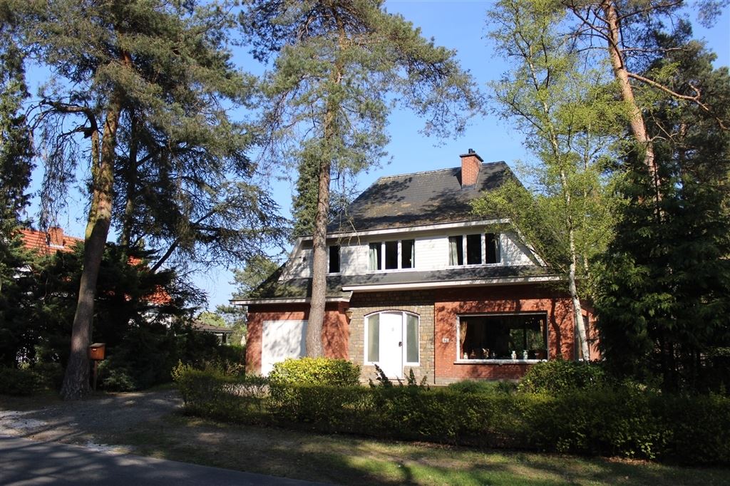 VAN ARCKELLAAN 52 TREMELO