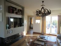 Foto 3 : Appartement te 3800 SINT TRUIDEN (België) - Prijs € 875
