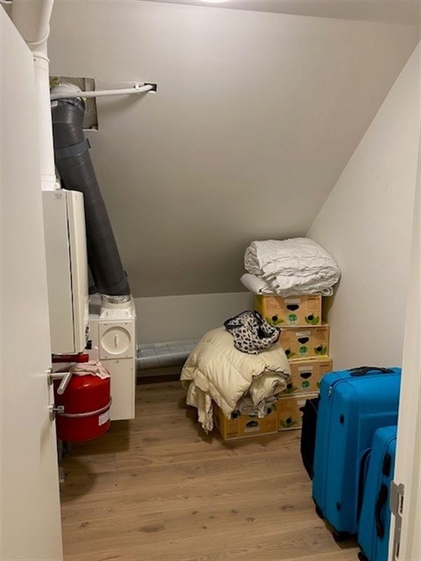 Foto 20 : Villa te 3800 SINT-TRUIDEN (België) - Prijs € 1.200