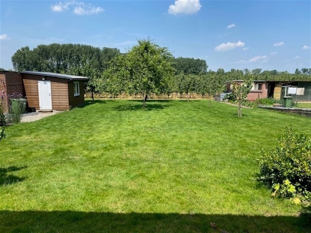 Foto 3 : Villa te 3800 SINT-TRUIDEN (België) - Prijs € 1.200
