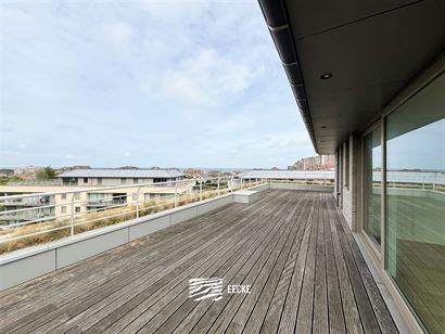 Domein Karthuizer E2-0402 - Unieke penthouse met fantastische vergezichten op zee en duinen - Rustig gelegen op Domein Karthuizer - Ruime leefruimte o...