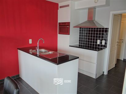 TE HUUR OP JAARBASIS - gemeubeld hoek appartement met 2 slaapkamers met recreatieruimte - living met zonneterras - ingerichte open keuken met elektris...