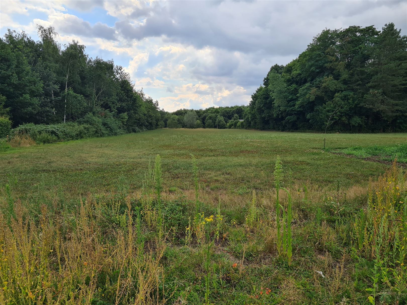 Bouwgrond te 2220 HALLAAR (België) - Prijs € 220.000