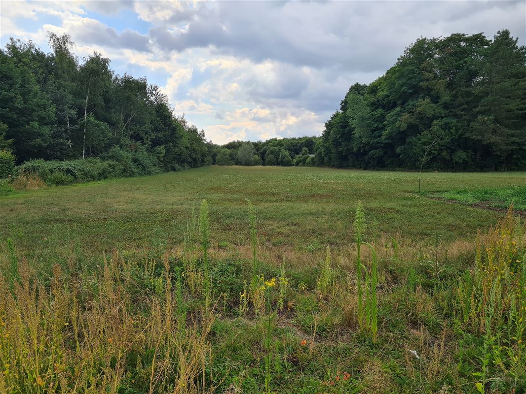 Foto 1 : Bouwgrond te 2220 HALLAAR (België) - Prijs € 220.000