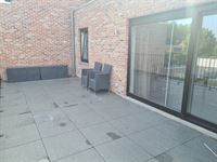 Foto 5 : Appartement te 2220 HALLAAR (België) - Prijs € 810