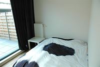 Foto 10 : Gelijkvloers te 2150 BORSBEEK (België) - Prijs € 1.100