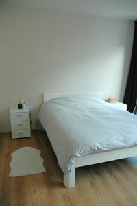 Foto 6 : Gelijkvloers te 2150 BORSBEEK (België) - Prijs € 1.100