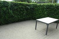 Foto 8 : Burelen te 2150 BORSBEEK (België) - Prijs € 1.200