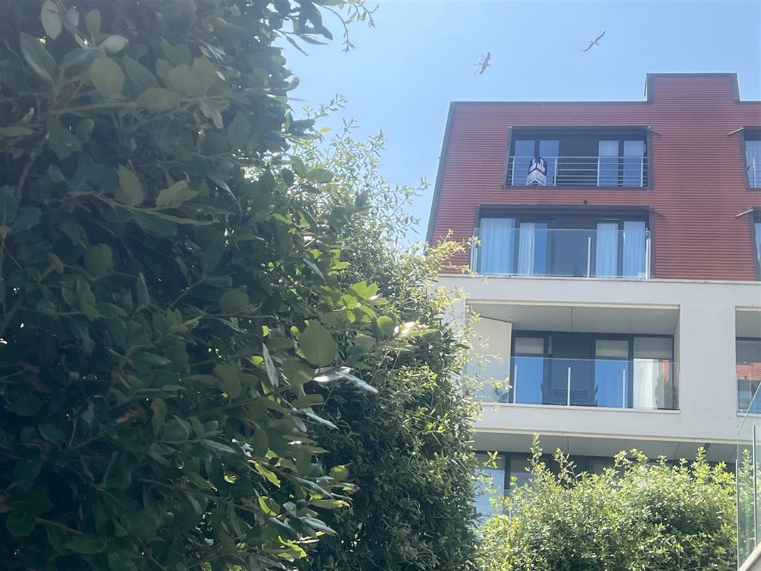 Bild 2 :  IN 8620 NIEUWPOORT (Belgium) - Preis 545.000 €