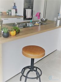 Foto 7 : Huis te 9080 LOCHRISTI (België) - Prijs € 1.450