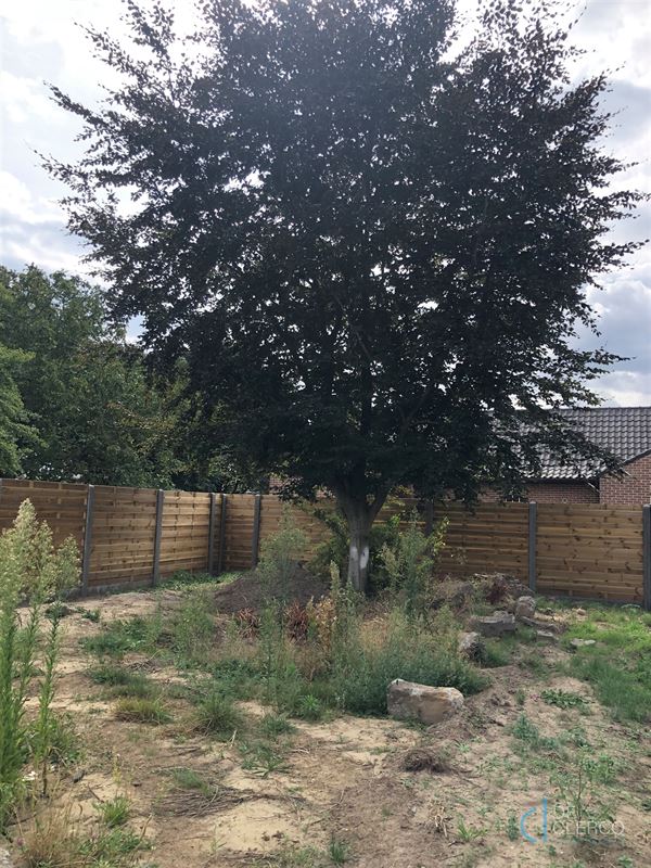 Foto 23 : Huis te 9080 LOCHRISTI (België) - Prijs € 1.500