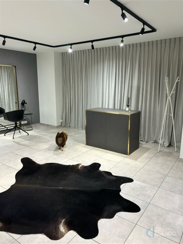 Foto 3 : Handelspand te 9080 Lochristi (België) - Prijs € 275.000