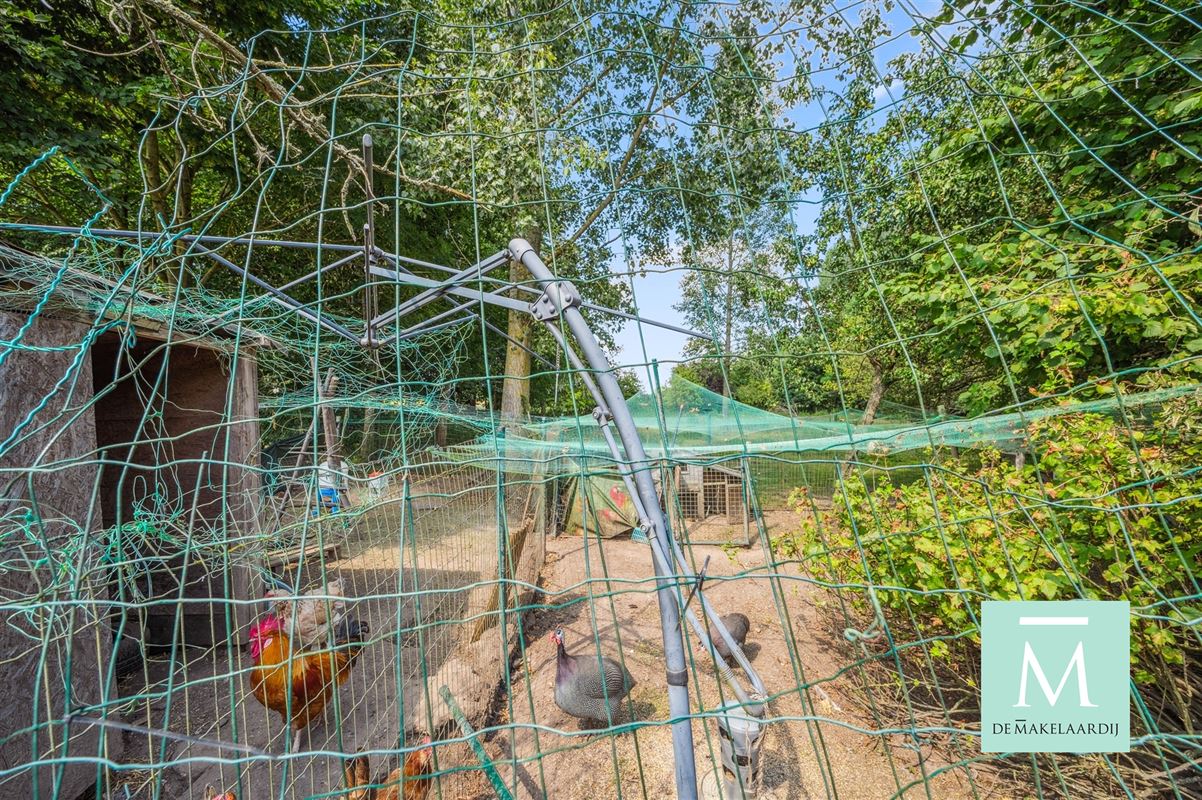 Foto 29 : Huis te 1980 EPPEGEM (België) - Prijs € 679.000