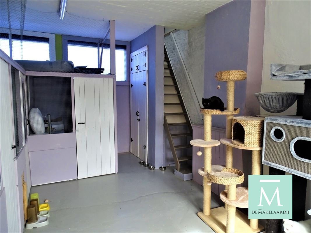 Foto 11 : Huis te 2840 TERHAGEN (België) - Prijs € 229.500