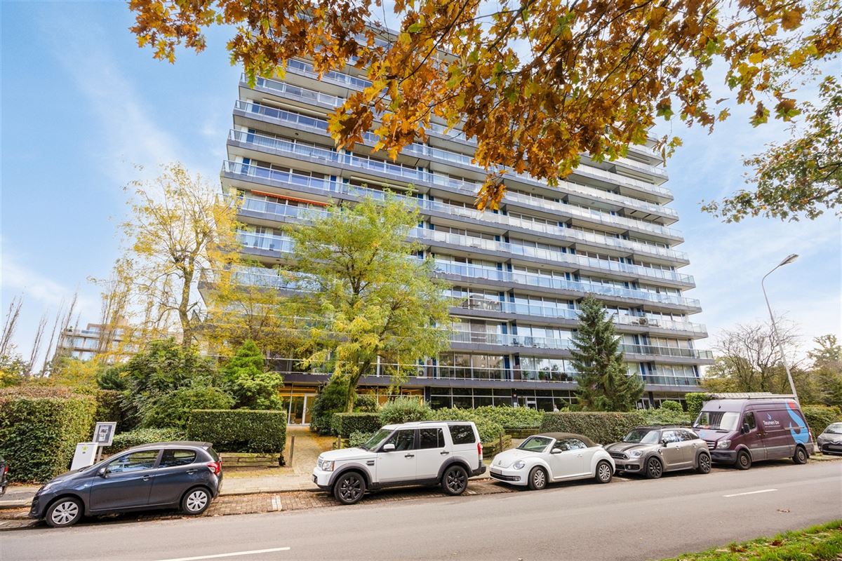 Foto 15 : commercieel gelijkvloers te 2600 BERCHEM (België) - Prijs € 1.950