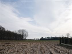 Droom je van een woning in landelijke stijl op een unieke locatie? Op de grens met Hansbeke, in Bellem wacht deze ruime woning op een nieuwe invulling...