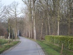 Droom je van een woning in landelijke stijl op een unieke locatie? Op de grens met Hansbeke, in Bellem wacht deze ruime woning op een nieuwe invulling...