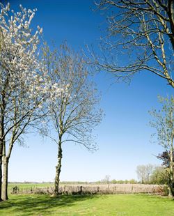 Nood aan rust en natuur, zonder in te boeten op bereikbaarheid? Ontdek deze charmante woning, verscholen in het groen, ver van de straat en omringd do...