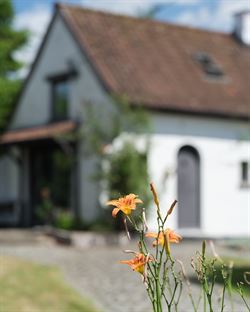 Welkom in het hart van de Vlaamse Ardennen, waar natuur, rust en ruimte elkaar ontmoeten. Deze karaktervolle woning op Boigneberg 1 in Maarkedal ligt ...
