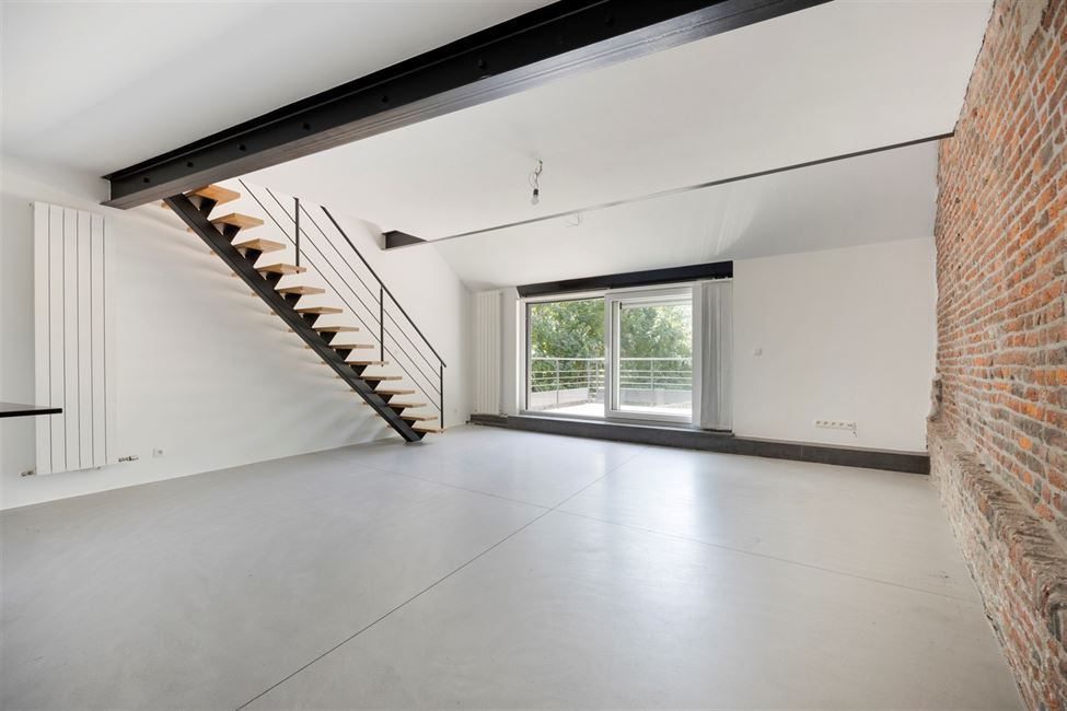 Splendide duplex 2 ch, tt a été refait 2019-2020 !