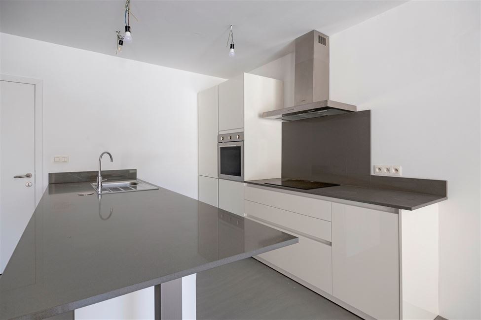 Immeuble entièrement remis à neuf, 2 entités !