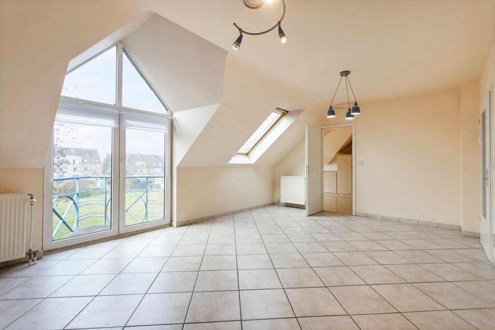 Appartement 1CH tout lumineux,jardin commun !