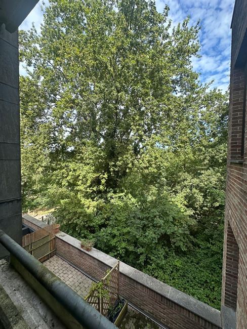 Appart 1 ch avec balcon et pking privatif !!! 