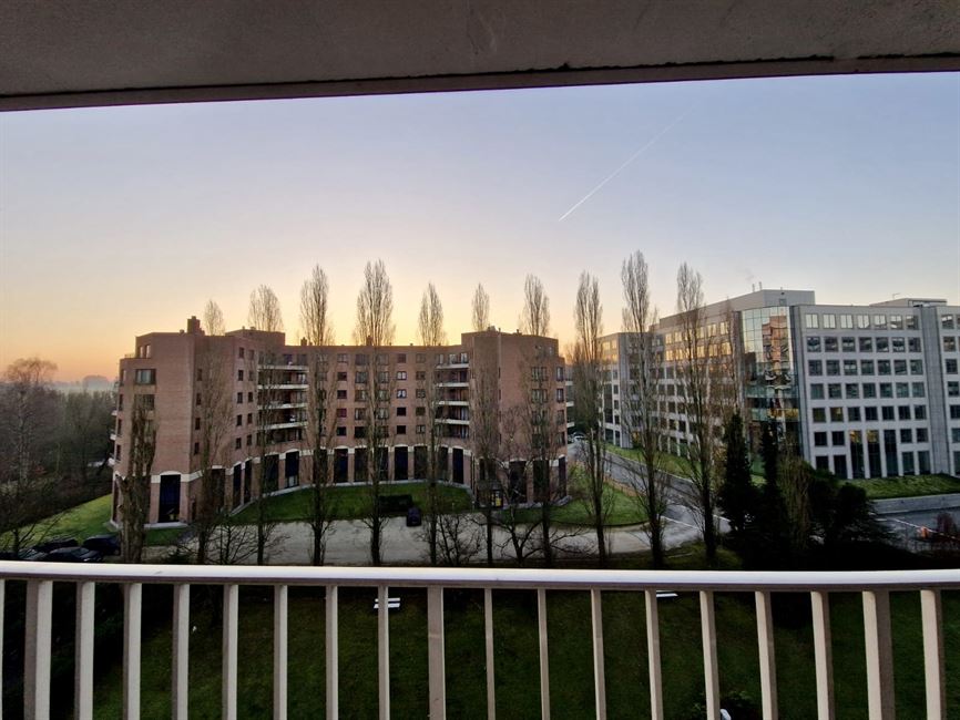 UCL Woluwe: Studio tt mimi avec terr.