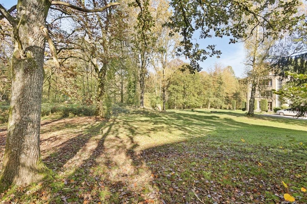 Studio au milieu d'un parc ! 